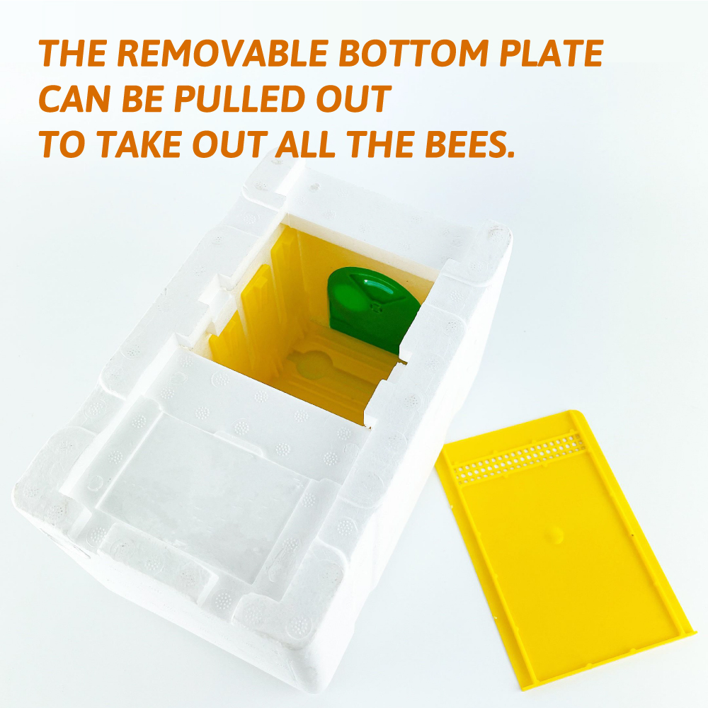 BH-001PB Foam Bee Box