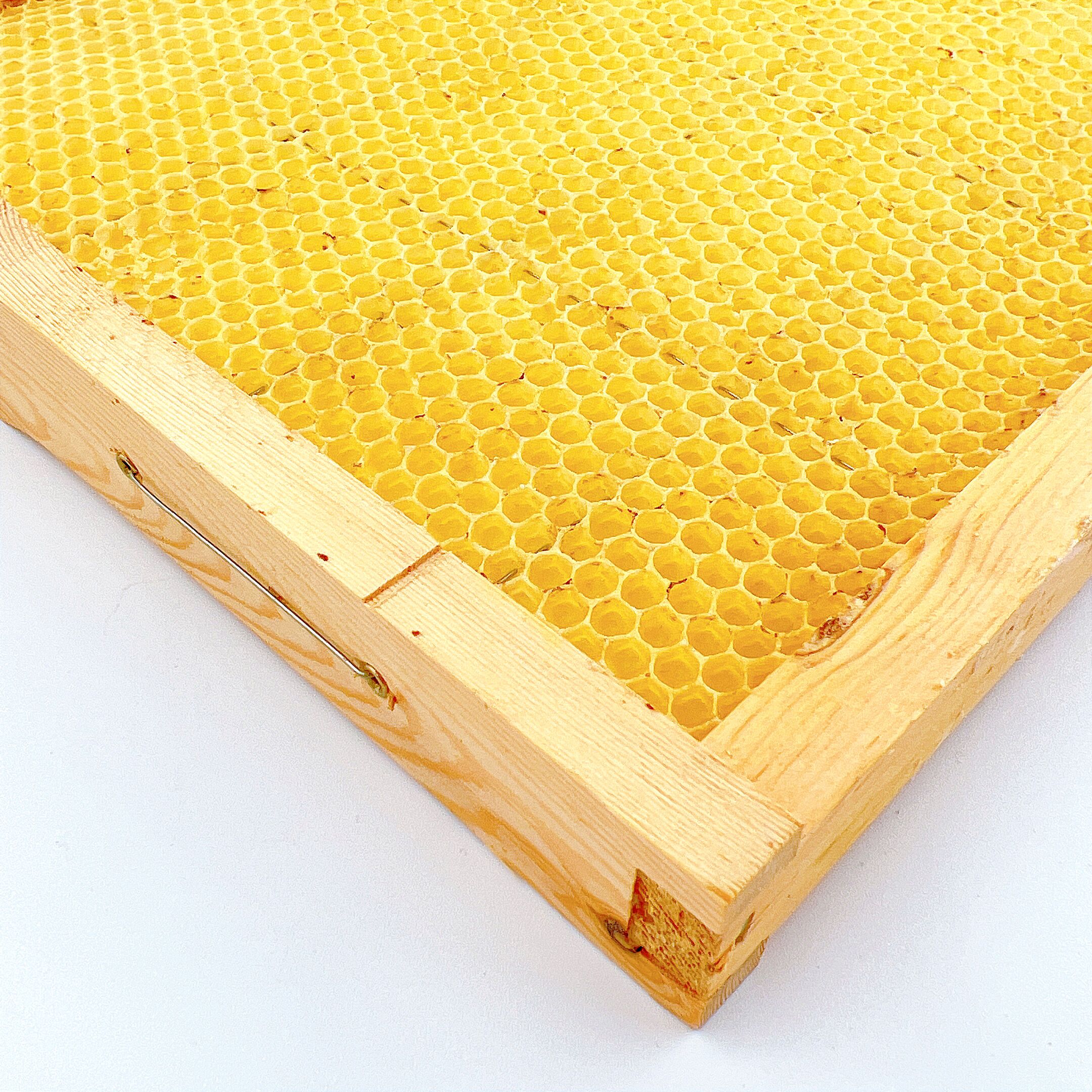 BF-002WH built-in honeycomb by Bee